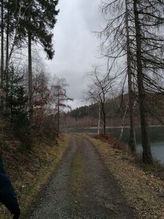 Auf dem Wogenweg am Hennesee