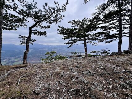 Фото с сайта Werner Sejka во время экскурсии