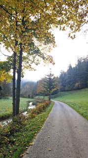 Foto von Ernst Brezina entlang der Tour