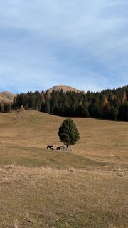 Fotografie de la Martin Glaser de-a lungul turului