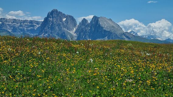 Foto von Astrid Bühler entlang der Tour