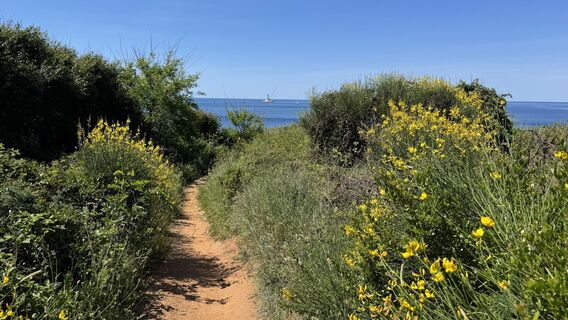 Foto von chiemseesurfer entlang der Tour