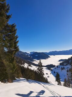Foto da Michael Rohrmoser lungo il tour