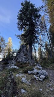 Fotografija s spletne strani ROBERTO BONIOTTI na poti