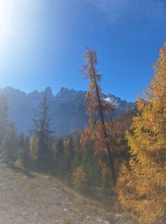 Photo from Günther Karrer along the tour