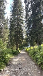 Fotografija s spletne strani Maiwenndanard na poti