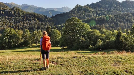 Ausblick auf die Seckauer Tauern