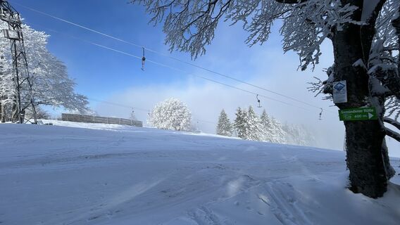 Foto de Mischkael a lo largo del recorrido