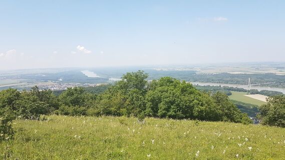 Aussicht auf Bad Deutschaltenburg und den Altarm bei Petronell-Carnuntum