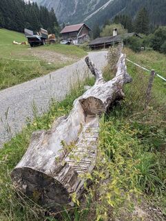 Fotografija s spletne strani Arne Schlieder na poti