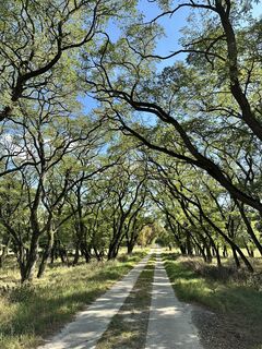 Foto fra Thomas Schönstein underveis på turen