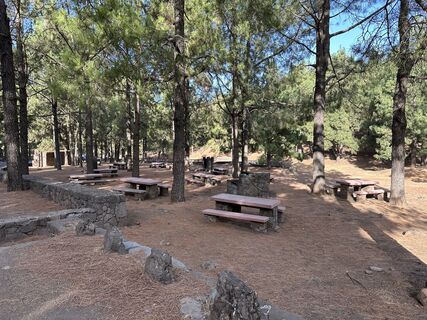 Foto de justasimpleguy a lo largo del recorrido