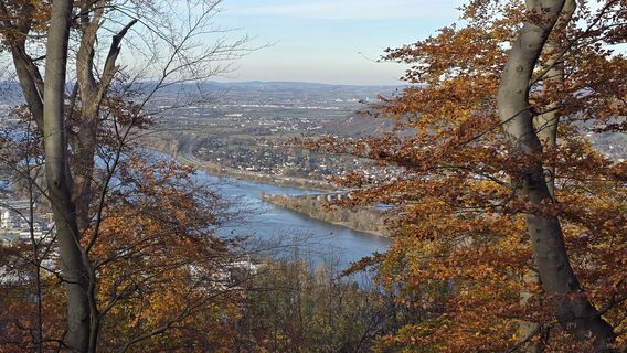 Foto von Hieu Duc Tram entlang der Tour