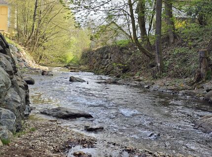 Foto de MRDL a lo largo del recorrido