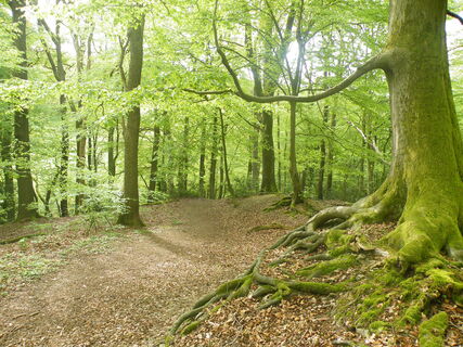 Rundwanderwege