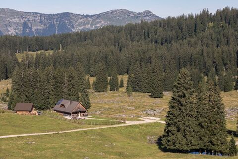 Feldwiesalm