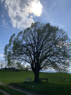 Fotografie z Sven Krieblin na trase