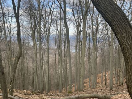 Photo de Mónika Wallner 1 le long du parcours