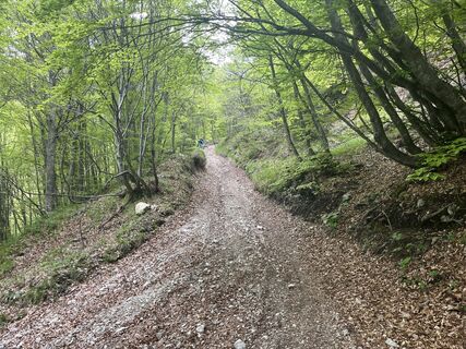 Fotografia z Stefano “Iddo” na trase