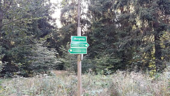 Von Friedrichroda zum großen Inselsberg