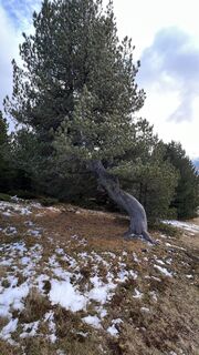 Fotografia z Schabsi na trase