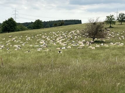 Foto von Martin Lorscheider entlang der Tour