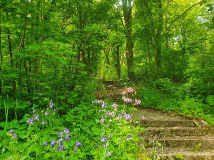 Stufen auf den Eggenberg
