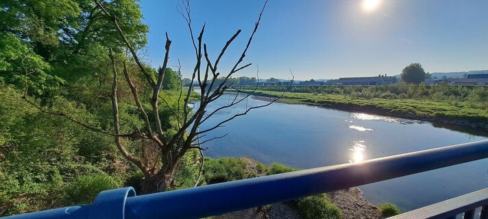 Foto från Petra P. 1 under resans gång