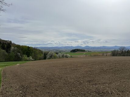 Foto von webrch entlang der Tour