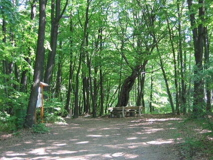 Herrentisch Rohrbach