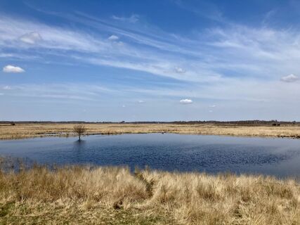 Oppenweher Moor