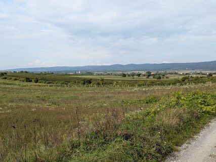Foto da Edero lungo il tour