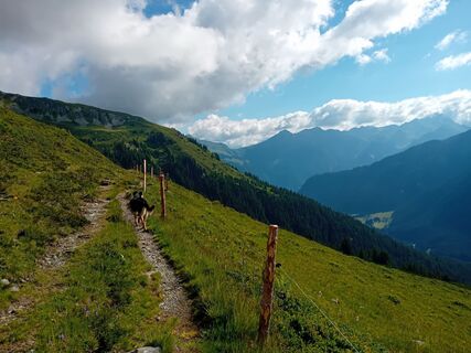 Foto von Xenia Lange entlang der Tour