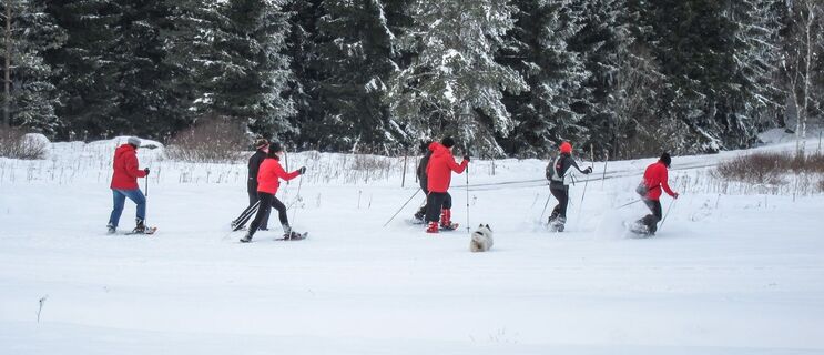 Schneeschuhwanderung Frauenwieserteich