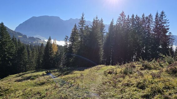 Fotografia z Emillie Gessert na trase