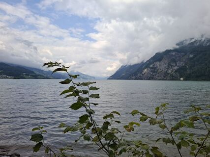 Photo de Michael Putz le long du parcours