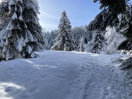 Fotografie z Carsten Breitfeld na trase