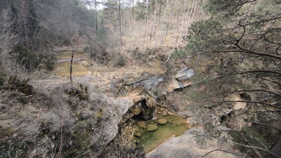 Fotografie z Car Los na trase