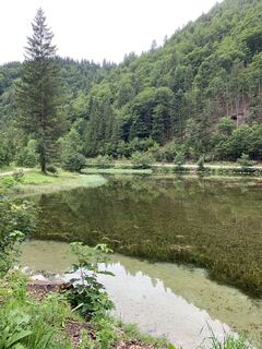 Photo de Franco Nicastro 1 le long du parcours