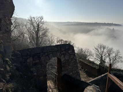 Foto von Norbert Herbig entlang der Tour