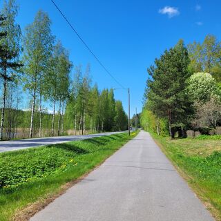 Radweg und Autostraße am Ufer des Teichs