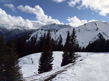 Foto från Wolfgang Schädler under resans gång