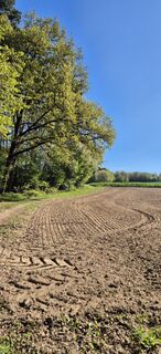 Photo de Babsi75s le long du parcours