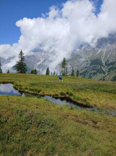 Fotografija s spletne strani herbert 135 na poti