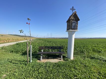 Foto von F. Shirazi-Joska entlang der Tour