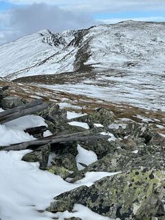 Foto von Carola Krems entlang der Tour