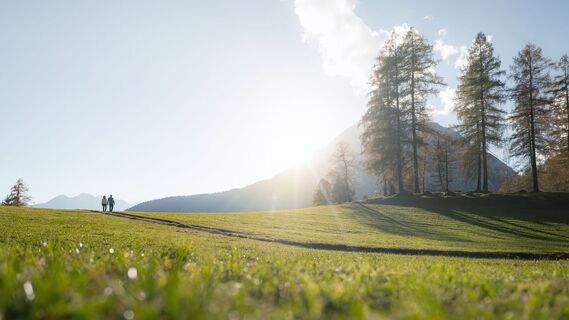 Herbstwanderung am Oberen Wiesenweg_Paar in der Distanz steht auf Wanderweg entlang einer Wiese.jpg