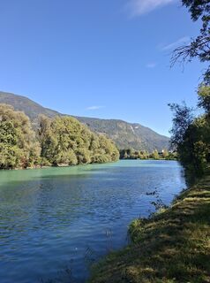 Foto von Mangolein entlang der Tour