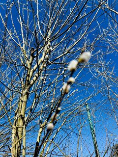 Zdjęcie z Kellner Heidi wzdłuż trasy