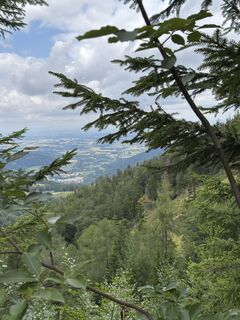 Photo de Gerhard Strasser le long du parcours